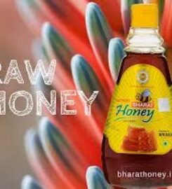 Bharat’s Sidr Honey