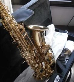 Brand new E-flat Alto saxophone for sale